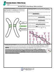 amoeba sisters alleles and genes